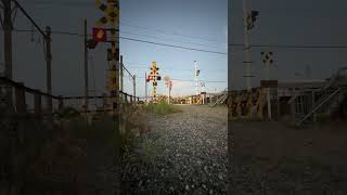 Fumikiri Japanese railroad crossing warning lights [upl. by Samuele604]