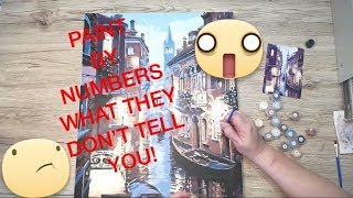 WHAT THEY DON’T TELL YOU  Paint By Numbers Review [upl. by Spiers]