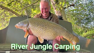 River Jungle Carp Fishing [upl. by Giulia]