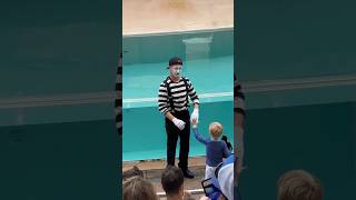 Funny mime SeaWorld Orlando funny seaworldorlando disney seaworldmime themepark prank seaworl [upl. by Atiuqiram739]