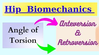 Anteversion ampRetroversion angle of torsion in detail [upl. by Ashia]