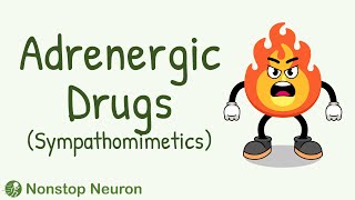 Classification of Adrenergic Drugs  Individual Adrenergic Drugs  Sympathomimetics Pharmacology [upl. by Avert]