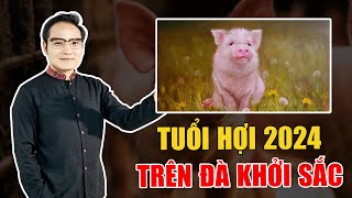 Xem tử vi  Vận hạn tuổi Hợi 2024 Trên đà khởi sắc [upl. by Tikna]