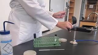 Lab 517 Gelatinase Test [upl. by Emrich]