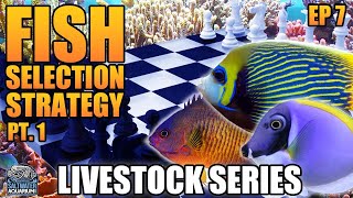 Stocking Strategy Part 1  Picking Fish for Your Saltwater Aquarium  Livestock Series [upl. by Salokin]