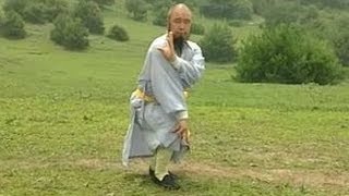 Shaolin Kung Fu Combat Styles 5 7star form 七星拳 qixing quan [upl. by Ateuqal]