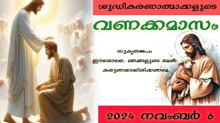 ശുദ്ധീകരണാത്മാക്കളുടെ വണക്കമാസം Souls in Purgatory November 6 [upl. by Debra805]