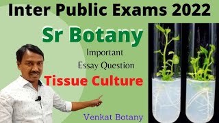 Tissue Culture Technique  Sr Botany Important Questions Venkat Botany [upl. by Ibmab]