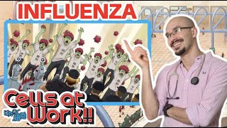 REAL Doctor reaction to Cells at Work Anime review  Hataraku Saibou  Influenza [upl. by Elwyn684]