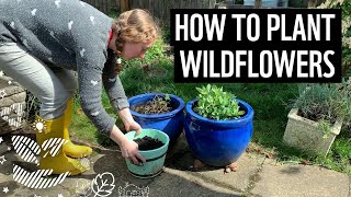 How to plant wildflowers  Sustainable tips  WWF [upl. by Elinad506]