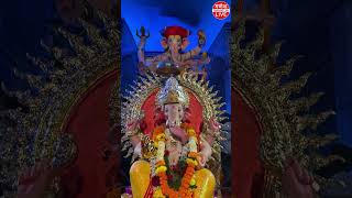 😤Suspense Thriller amp Raja❤️😍 Parel Cha Raja 2024 ganpati hindufestival hindugod hindugod [upl. by Canfield]