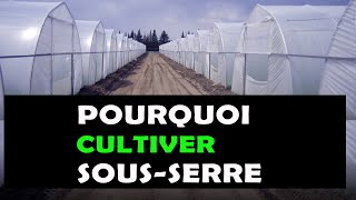 5 Bonnes raisons pour lesquelles il faut cultiver sous une serre agricole AGRICULTURE [upl. by Supat]