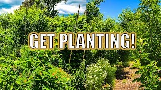 GET PLANTING [upl. by Maples]