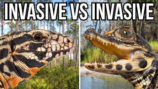 8 Invasive Species That Battle And Prey On Other Invaders [upl. by Hans]