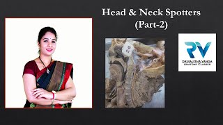 Head and Neck Spotters Part2 by Dr Rajitha Vanga [upl. by Annotahs722]