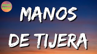 🎶 Camilo  Manos de Tijera  Los Aptos La Adictiva Letra\Lyrics [upl. by Islean]