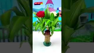 Lucky Brazilian WoodLucky Brazil Wood Potted Plant Healthy Indoor Live Lucky Brazilian Wood Plant [upl. by Callery574]