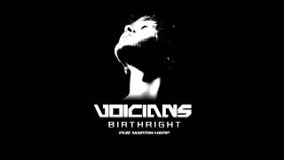 Voicians  Birthright feat Martin Harp Celldweller Cover [upl. by Asilam]