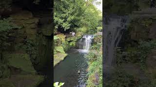 Jesmond Dene Waterfall newcastle roadtrip travel jesmonddene [upl. by Errised]