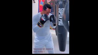 BOXING HEAVY BAG BASICS  training by Harold [upl. by Ilse974]