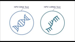 Know your mRNA from your DNA [upl. by Templer]