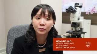 CALR Mutation Analysis Myeloproliferative Neoplasm MPN [upl. by Port19]