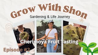 Cherimoya Fruit Tasting [upl. by Shuler]