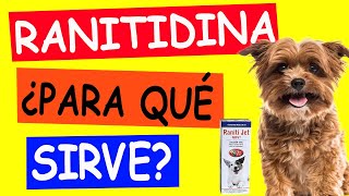 RANITIDINA para Perros ¿PARA QUÉ SIRVE [upl. by Orrin]