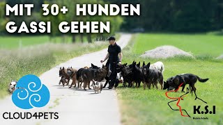 Hundeforscherin Katrin Scholz mit Hundemeute 🐕 Teil 1 [upl. by Ahen]