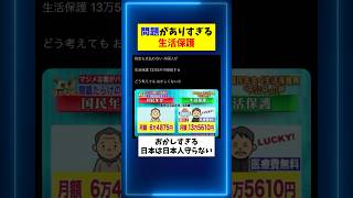 問題がありすぎる生活保護… 国民年金 外国人 [upl. by Acinehs]