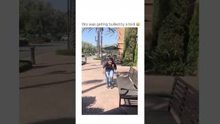 He still held on to the beer funny shortsbeta shortsvideo funniestvideo [upl. by Kally122]