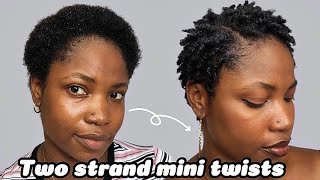 Mini Twists On Short Natural Hair  Simple Protective Style [upl. by Nester314]