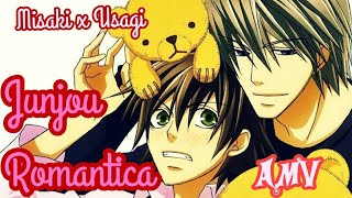 Junjou Romantica AMV Misaki x Usagi [upl. by Heloise]