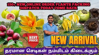 150 NEW ONLINE ORDER PLANTS PACKING DISPATCH TODAY RESTARTED ALL FRUIT PLANTS ONLINE SALES [upl. by Auqinahs]