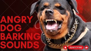 Epic Dog Barking Compilation See How Your Dogs REACTS and Cant Resist [upl. by Eelyahs]