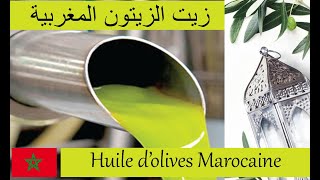 Secteur de lhuile dolives au Maroc  قطاع زيت الزيتون بالمغرب [upl. by Bathsheb]