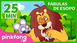 El Viejo León y la Zorra y más fábulas de esopo  Recopilación  Pinkfong Cuentos Infantiles [upl. by Melisa]