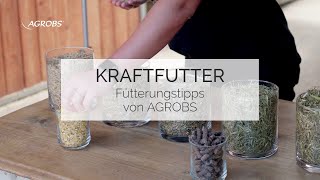 Kraftfutter für Pferde  Fütterungstipps von AGROBS [upl. by Anovahs98]