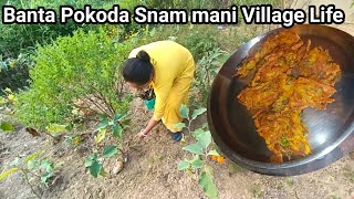 Banta Tei Alo Pokoda Snam mani  Village vlog  KanikaOficial [upl. by Douglass]