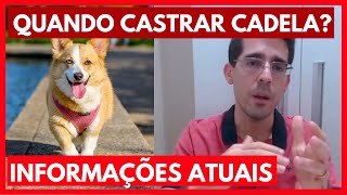 Quando castrar uma cadela Informações ATUALIZADAS castração de cadela [upl. by Dannica319]