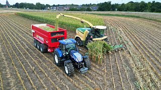 Mais Silage  Krone BiG X 680  Fendt  New Holland  Bongers  2022 [upl. by Rai]