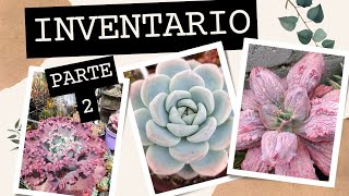 SEGUIMOS IDENTIFICANDO E INVENTARIANDO ECHEVERIAS DE MI JARDÍN SEGUNDA PARTE 😱🫣😍🤩🇪🇨 [upl. by Star]