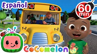 Las ruedas del bus  CoComelon  Its Cody Time en Español  Canciones Infantiles y de Cuna [upl. by Poole]