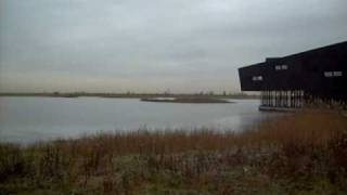 Almere Oostvaardersplassen  Natuurbelevingscentrum quotDe Oostvaardersquot winter [upl. by Aihselat]