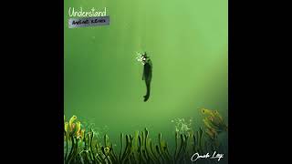 Omah Lay  Understand AMÉMÉ Remix Official Audio [upl. by Bonar]