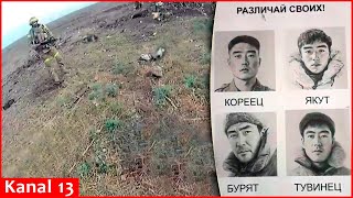 First video of killed North Korean soldiers at frontline Ukrainian army shows footage from Selidovo [upl. by Gloriane]