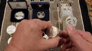 999 Silver Coins for Advanced Collectors Volume I One Troy Ounce Coins [upl. by Tim204]