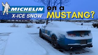 Best Winter tires for a Mustang Michelin XIce Winter Tires Review [upl. by Eolanda]