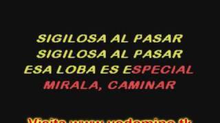 LOBA SHAKIRA KARAOKE BOY [upl. by Ahsuas143]