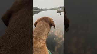 Exploring the lower Okavango delta [upl. by Enirod]